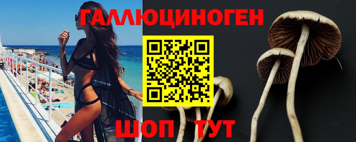 Гусиноозёрск  Галлюциногенные грибы GOLDEN TEACHER  Галлюциногенные грибы ЛСД  Вход с VPN 